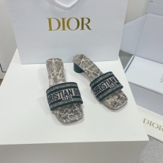 Christian Dior Slippers